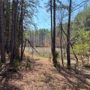 Photo #23 of 44 +/- AC Island, Madison, NC 44.0 acres