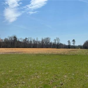 Open field in flood zone area