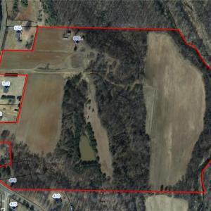 Photo #2 of 44 +/- AC Island, Madison, NC 44.0 acres