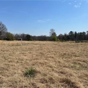 Photo #6 of 44 +/- AC Island, Madison, NC 44.0 acres