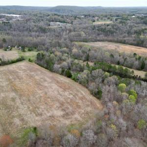 Photo #42 of 44 +/- AC Island, Madison, NC 44.0 acres