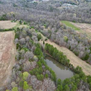 Photo #46 of 44 +/- AC Island, Madison, NC 44.0 acres