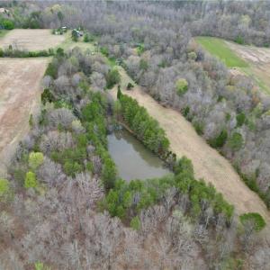 Photo #47 of 44 +/- AC Island, Madison, NC 44.0 acres