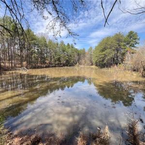Photo #26 of 44 +/- AC Island, Madison, NC 44.0 acres