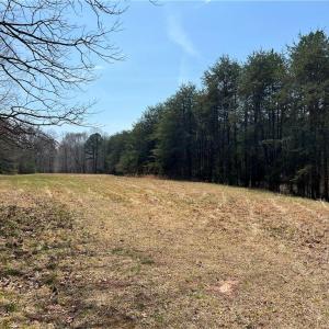 Photo #22 of 44 +/- AC Island, Madison, NC 44.0 acres