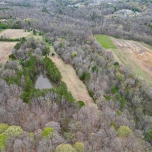 Photo #36 of 44 +/- AC Island, Madison, NC 44.0 acres