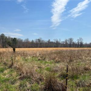 Photo #32 of 44 +/- AC Island, Madison, NC 44.0 acres