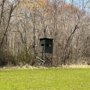 Many signs of wildlife