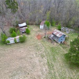 Photo #9 of 44 +/- AC Island, Madison, NC 44.0 acres