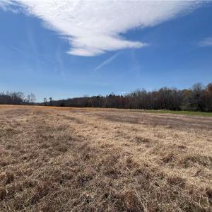 Photo #30 of 44 +/- AC Island, Madison, NC 44.0 acres