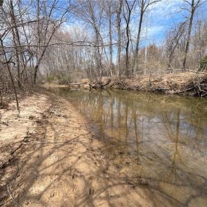 Photo #34 of 44 +/- AC Island, Madison, NC 44.0 acres