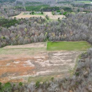 Photo #38 of 44 +/- AC Island, Madison, NC 44.0 acres