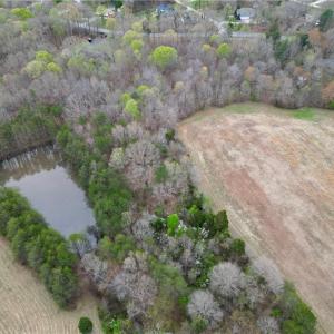 Photo #49 of 44 +/- AC Island, Madison, NC 44.0 acres