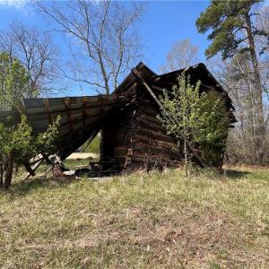 Photo #14 of 44 +/- AC Island, Madison, NC 44.0 acres