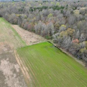 Photo #45 of 44 +/- AC Island, Madison, NC 44.0 acres