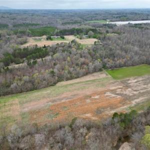 Photo #37 of 44 +/- AC Island, Madison, NC 44.0 acres