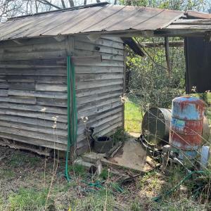 Photo #19 of 44 +/- AC Island, Madison, NC 44.0 acres