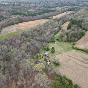 Photo #40 of 44 +/- AC Island, Madison, NC 44.0 acres