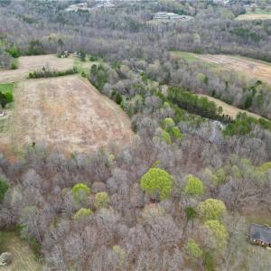 Photo #35 of 44 +/- AC Island, Madison, NC 44.0 acres