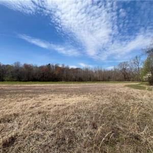 Photo #31 of 44 +/- AC Island, Madison, NC 44.0 acres