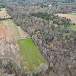 Photo #39 of 44 +/- AC Island, Madison, NC 44.0 acres