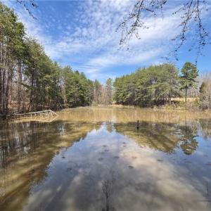 Pond looking from dam