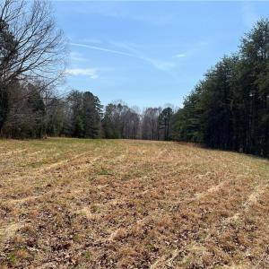Middle field heading towards pond
