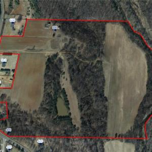 Photo #2 of 44 +/- AC Island, Madison, NC 44.0 acres