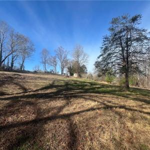 Photo #42 of 8516 Hudson-James, Summerfield, NC 48.6 acres