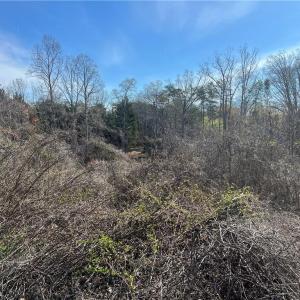 Photo #46 of 8516 Hudson-James, Summerfield, NC 48.6 acres
