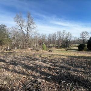 Photo #43 of 8516 Hudson-James, Summerfield, NC 48.6 acres