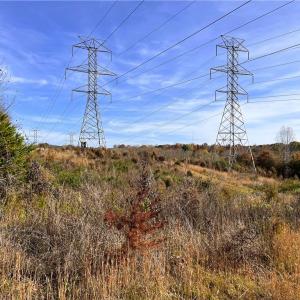 Photo #33 of 8516 Hudson-James, Summerfield, NC 48.6 acres