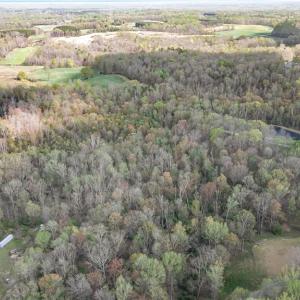 Photo #14 of 8516 Hudson-James, Summerfield, NC 48.6 acres