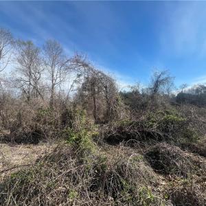 Photo #45 of 8516 Hudson-James, Summerfield, NC 48.6 acres