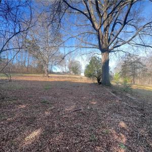 Photo #37 of 8516 Hudson-James, Summerfield, NC 48.6 acres