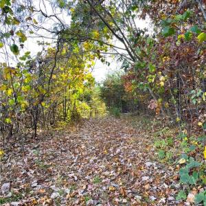 Photo #29 of 8516 Hudson-James, Summerfield, NC 48.6 acres