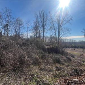 Photo #47 of 8516 Hudson-James, Summerfield, NC 48.6 acres