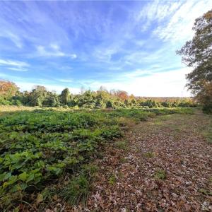 Photo #26 of 8516 Hudson-James, Summerfield, NC 48.6 acres