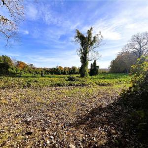 Photo #22 of 8516 Hudson-James, Summerfield, NC 48.6 acres