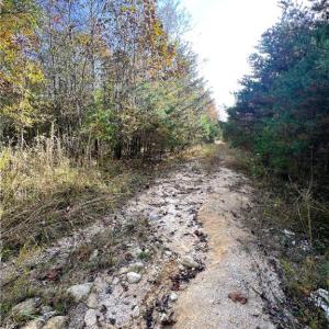 Photo #32 of 8516 Hudson-James, Summerfield, NC 48.6 acres