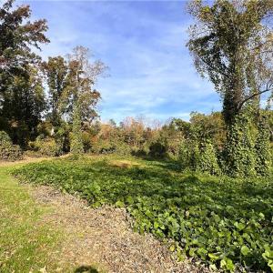 Photo #24 of 8516 Hudson-James, Summerfield, NC 48.6 acres