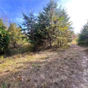 Photo #30 of 8516 Hudson-James, Summerfield, NC 48.6 acres