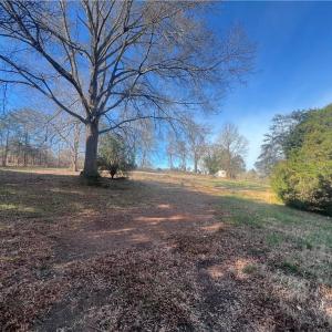 Photo #38 of 8516 Hudson-James, Summerfield, NC 48.6 acres