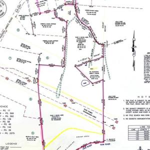 Photo #8 of 8516 Hudson-James, Summerfield, NC 48.6 acres