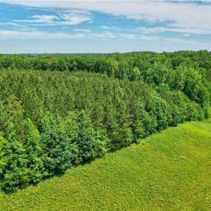 Photo #26 of Catawba, Salisbury, NC 21.2 acres