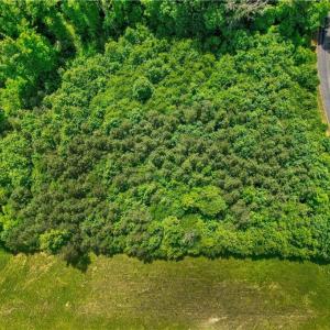 Photo #28 of Catawba, Salisbury, NC 21.2 acres