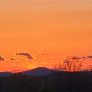 Photo #46 of 3063 Hart, Lawsonville, NC 55.0 acres