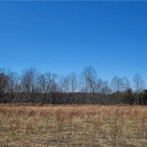 Photo #13 of 3063 Hart, Lawsonville, NC 55.0 acres