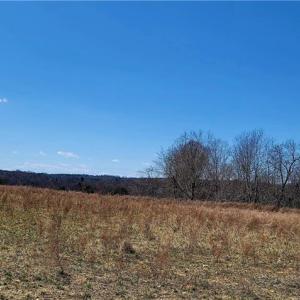 Photo #47 of 3063 Hart, Lawsonville, NC 55.0 acres