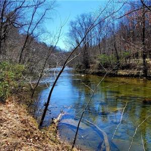 Photo #7 of 3063 Hart, Lawsonville, NC 55.0 acres